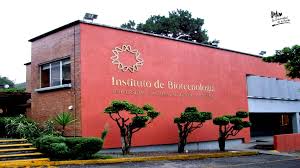 Innovaciones generadas por ex-alumnos y académicos del IBt se muestran al público en el “Día de Puertas Abiertas en Familia” del IBt-UNAM