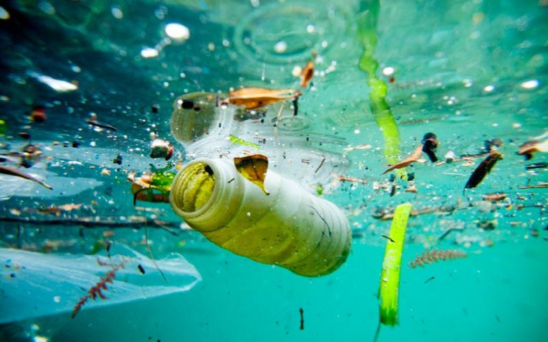 G-20 pide tomar medidas para disminuir la contaminación de los océanos
