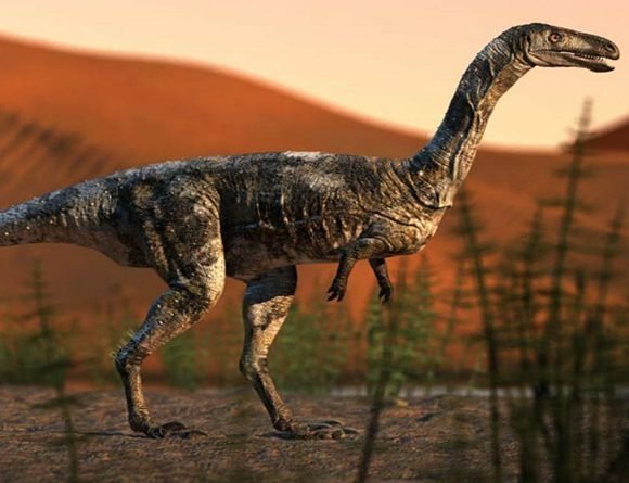 Descubren una nueva especie de dinosaurio carnívoro en Brasil