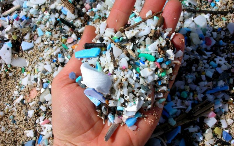 Cada año se arrojan al océano entre 5 y 13 millones de toneladas de plásticos: UNAM