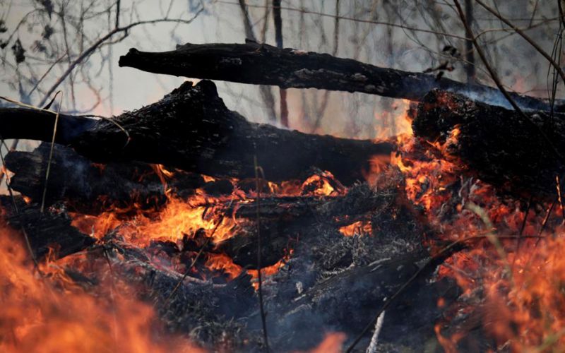 Desoladoras imágenes de los incendios en Brasil