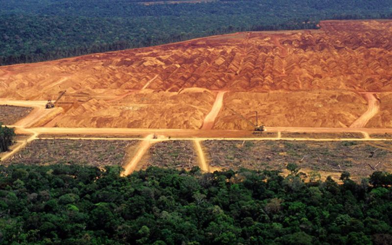 Bolsonaro califica de “mentira” las cifras de la deforestación en la Amazonía, los datos científicos lo contradicen