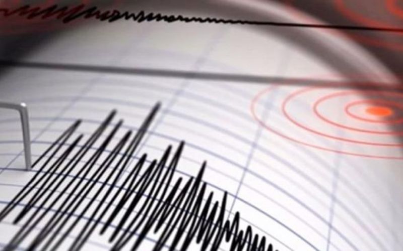 Son falsos los rumores sobre un gran sismo al sur del planeta: Servicio Sismológico Nacional