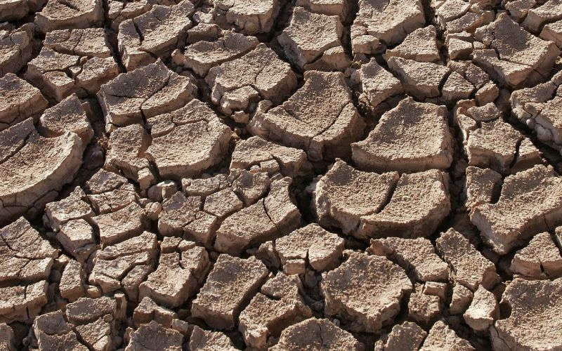 La Tierra experimentará sequías cada vez más frecuentes y extremas