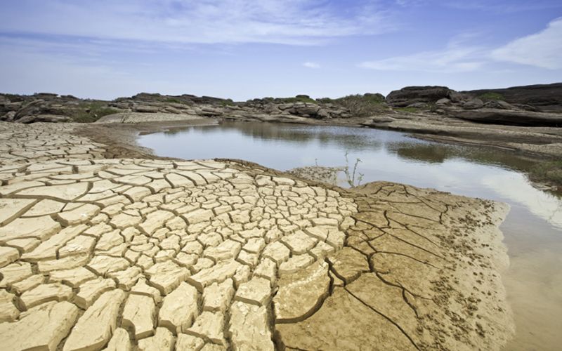 Hay sequía en el 84.9% del territorio: Servicio Meteorológico Nacional