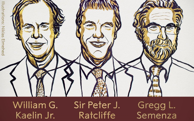 Nobel de Medicina 2019 para los científicos Kaelin, Ratcliffe y Gregg