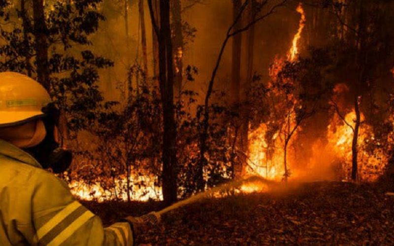 En Australia, a pesar de las lluvias, la NASA prevé que los incendios forestales se intensificarán