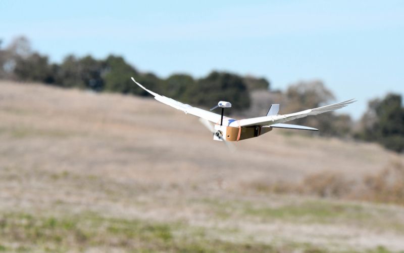 Pigeonbot, un robot con plumas de paloma que abre nuevos horizontes a las máquinas voladoras
