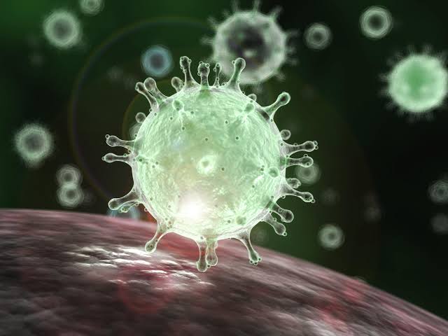 Todo lo que debes saber del brote de coronavirus en China