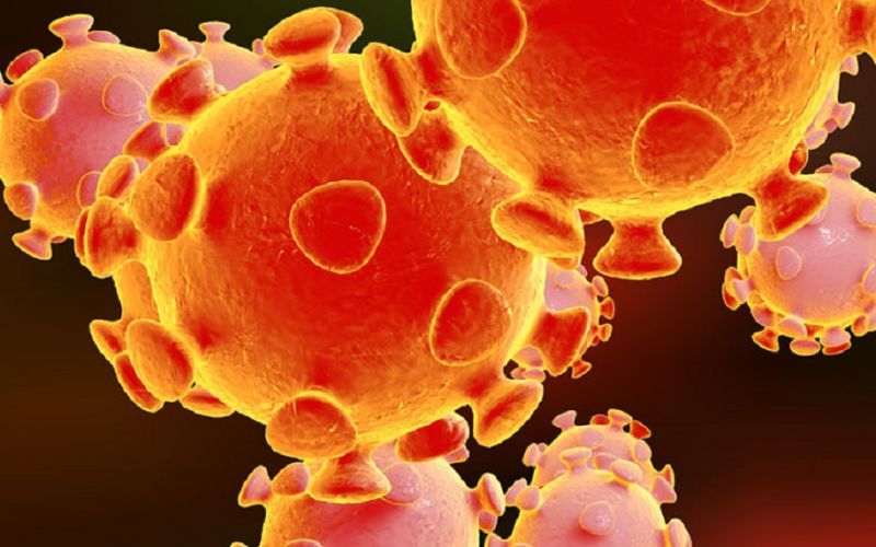 Elsevier da acceso completo a su contenido sobre el COVID-19 para acelerar la lucha contra la pandemia