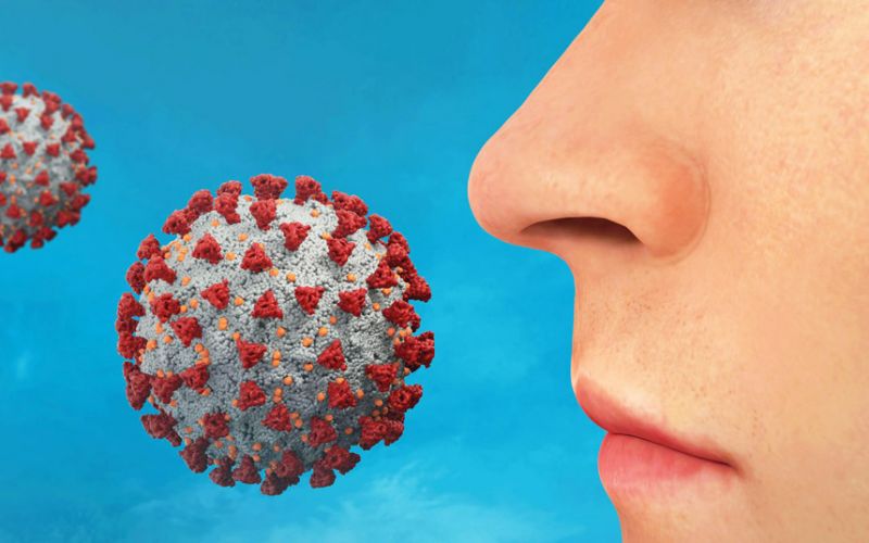 Estudio identifica células nasales como probables puntos de entrada del coronavirus
