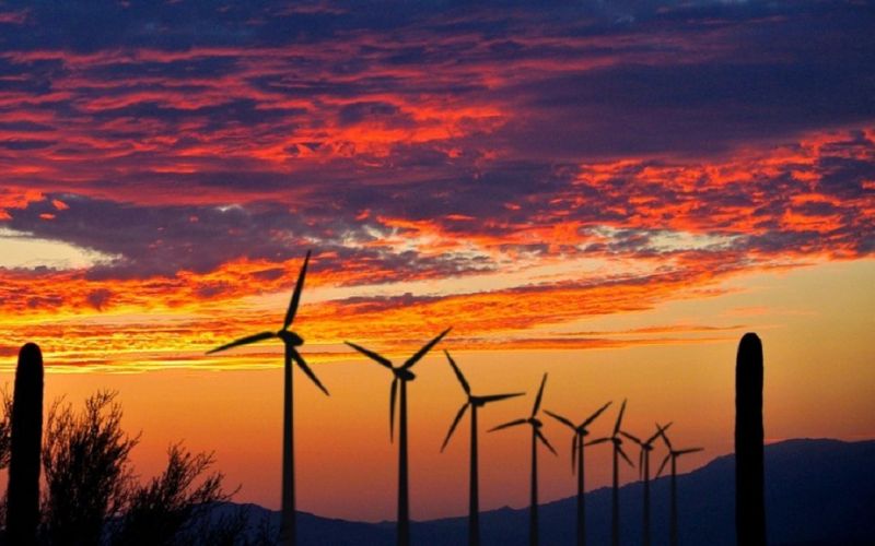 Acuerdo del Centro Nacional de Control de Energía atenta contra inversión de energías renovables: CCE