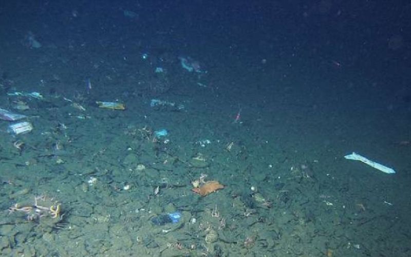 Científicos encuentran la mayor concentración de microplásticos en el fondo marino