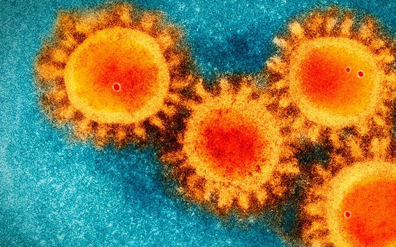 ¿El coronavirus está mutando? Sí, pero no hay que entrar en pánico