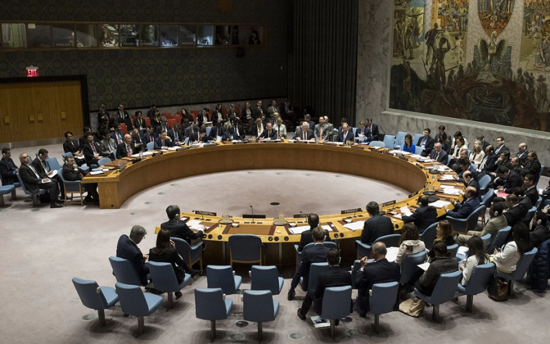 Ingreso de México al Consejo de Seguridad de la ONU, fortalece la diplomacia del país