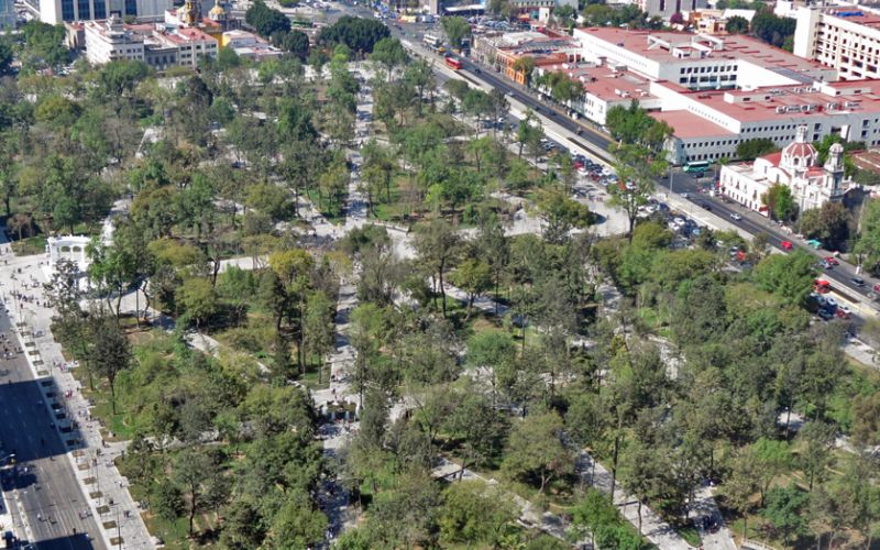 Los árboles urbanos pueden ayudar a un desarrollo sostenible
