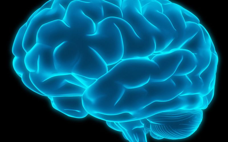¿Cuáles son los daños cerebrales que puede provocar Covid-19?