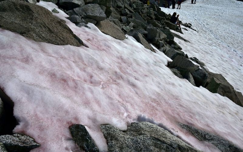Científicos investigan la aparición de hielo rosado en los Alpes italianos