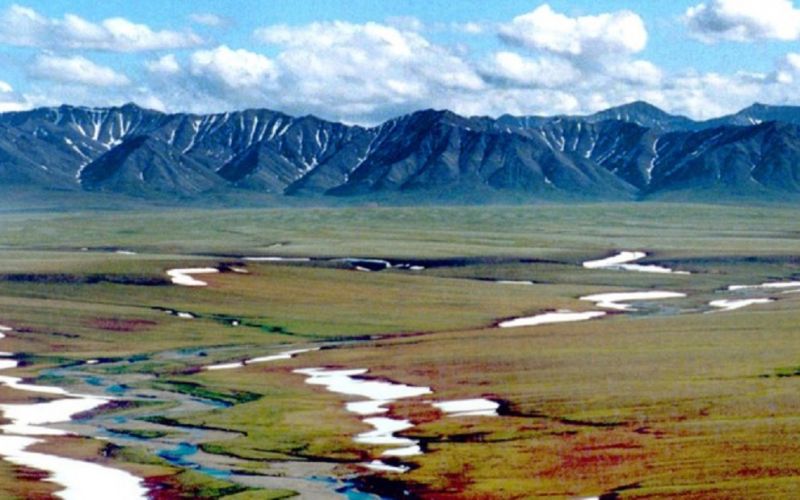 Trump aprueba la extracción de petróleo en refugio de vida silvestre de Alaska
