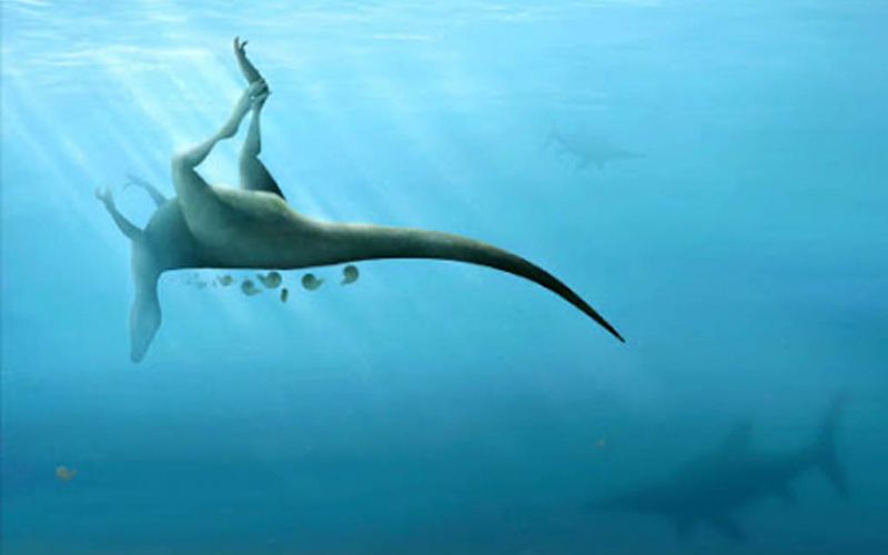 Cazadores de fósiles hallan huesos de nueva especie de dinosaurio relacionado con el T-Rex