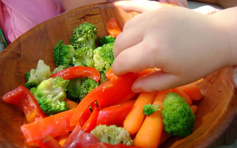 Inculcar buena alimentación en la niñez, determinante para el resto de la vida