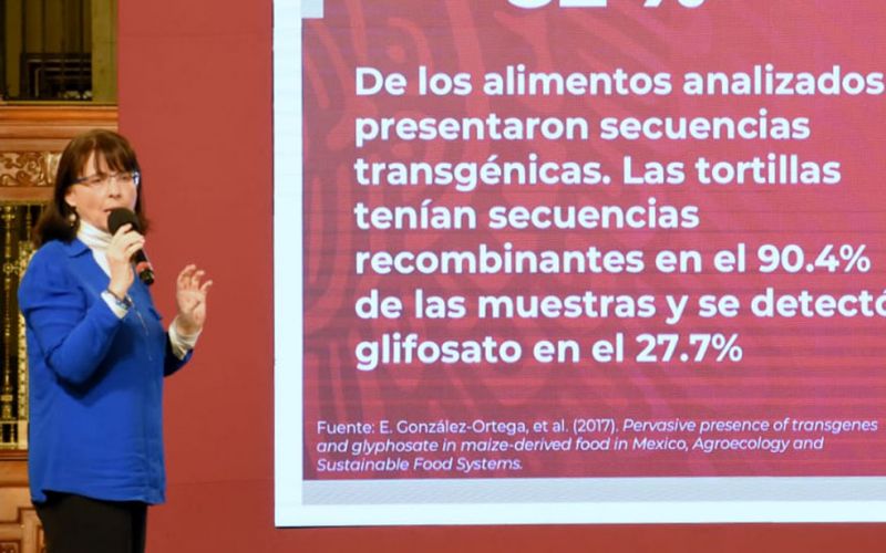 Conacyt está de acuerdo con la desaparición de los fideicomisos: Elena Alvarez-Buylla