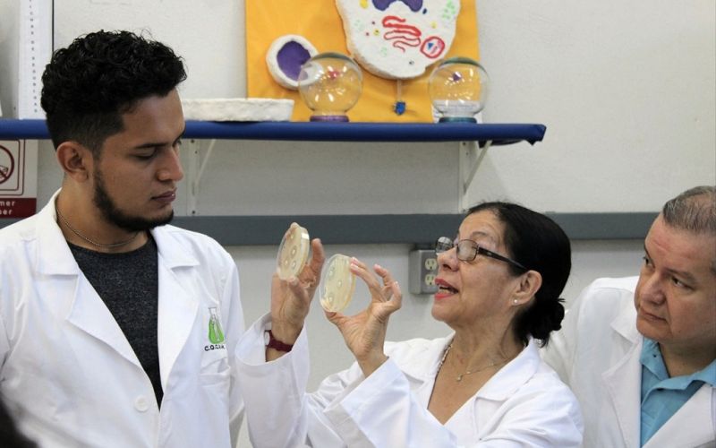 Especialistas del IPN detectan bacterias difíciles de combatir en hospitales