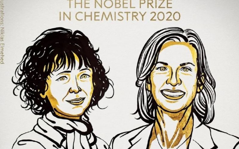 Premio Nobel de Química a la edición del genoma