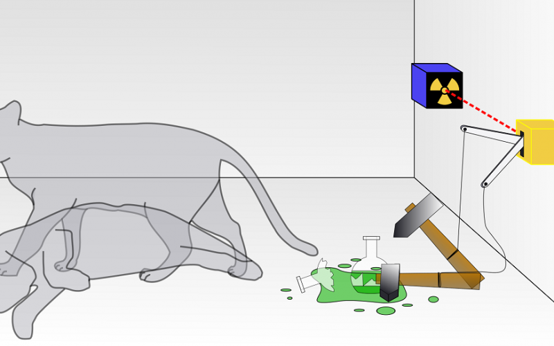 Hace 85 años se publicó el famoso experimento del gato de Schrödinger