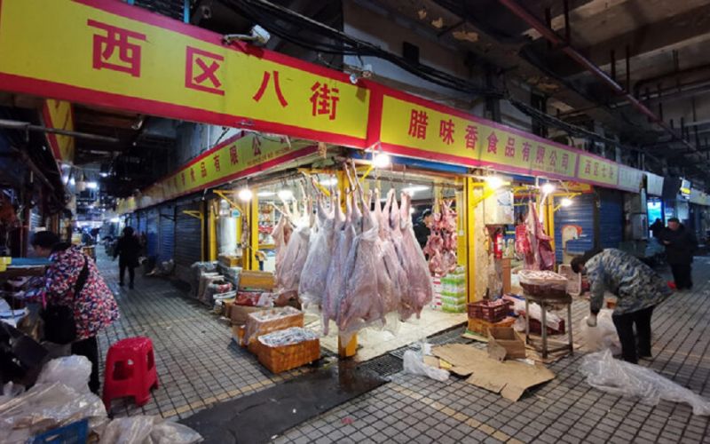 Equipo de la OMS visita el mercado de Wuhan