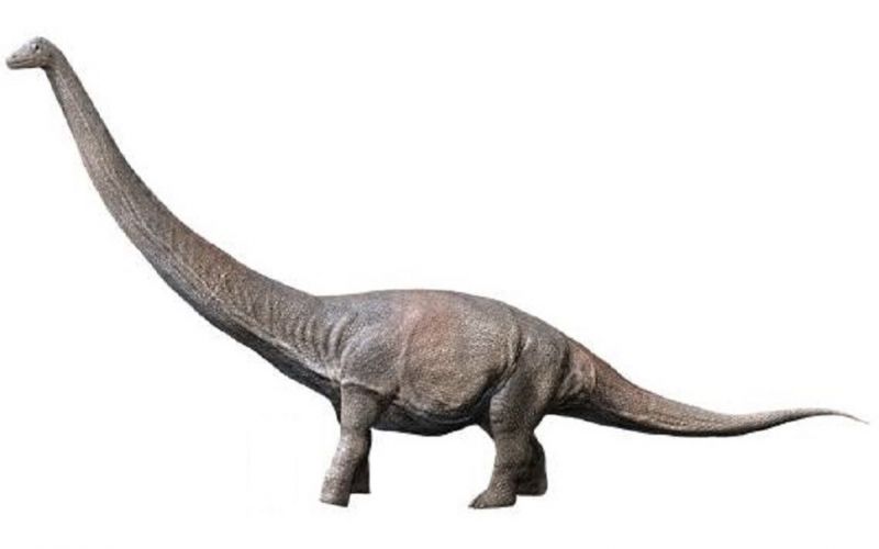 Titanosaurio hallado en Argentina podría ser “el más grande de la historia”