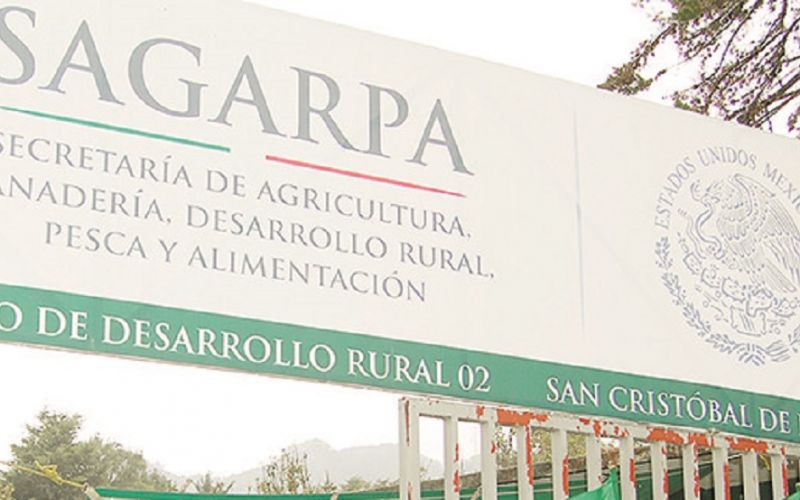 Función Pública confirma la inhabilitación por 10 años al ex delegado de la Sagarpa en Chiapas