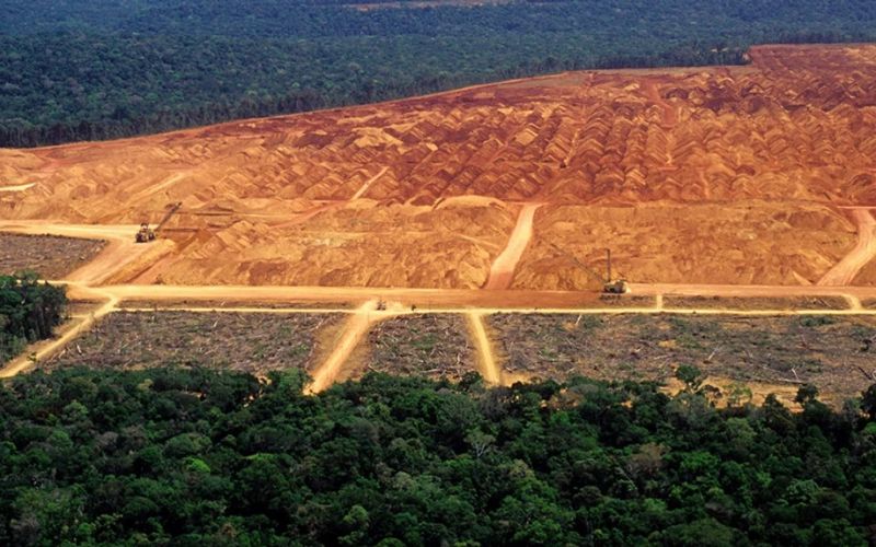 Aumenta 79% la deforestación de la Amazonía con Bolsonaro