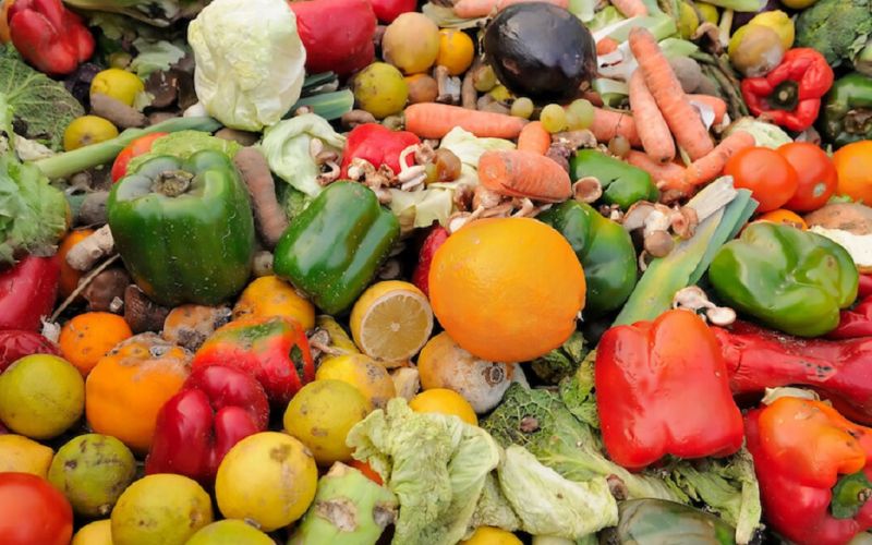 El mundo desperdició casi mil millones de toneladas de alimentos en 2019: ONU