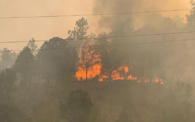 Incendio en la sierra de Arteaga ha consumido casi 7 mil hectáreas
