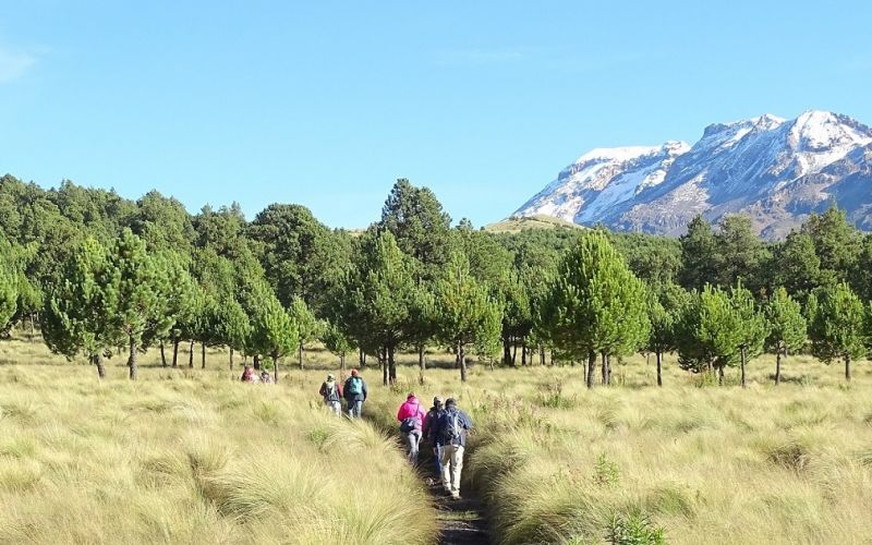 Conanp anuncia la reapertura del Parque Nacional Iztaccíhuatl Popocatépetl