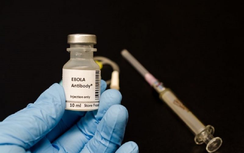 Se necesitan más vacunas para enfrentar el nuevo brote de ébola en Guinea: OMS