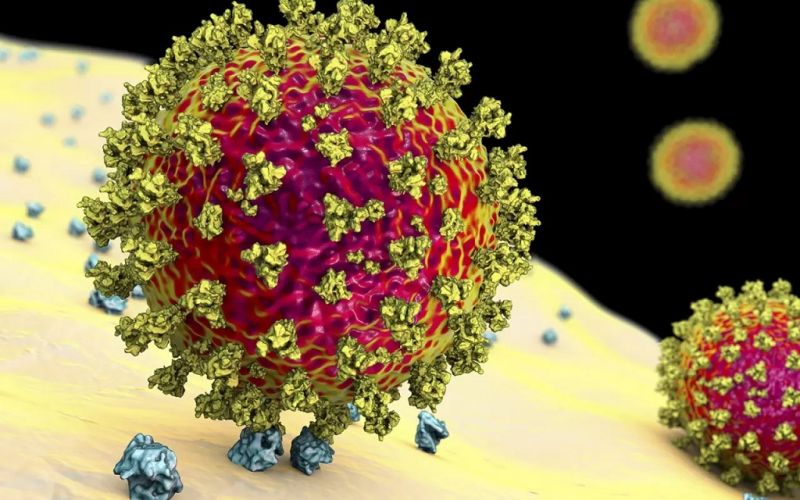 Variante brasileña de la COVID-19 evade la inmunidad, advierten científicos