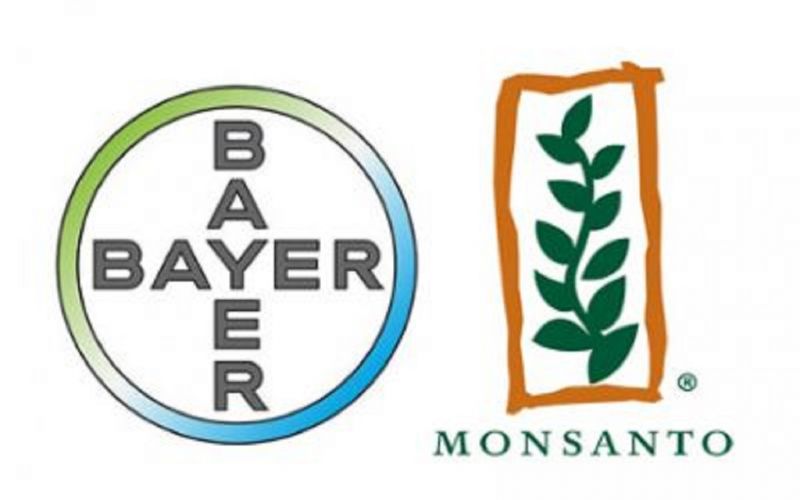 Juez niega suspensión definitiva a Bayer-Monsanto contra prohibición de uso de glifosato