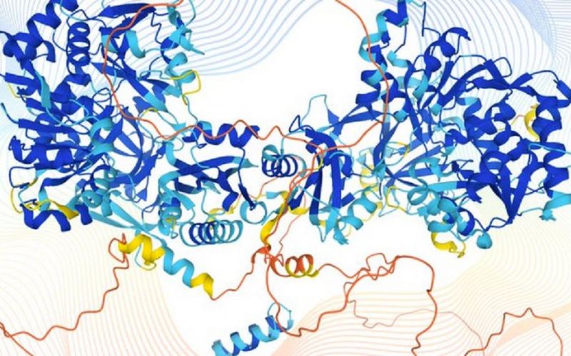 DeepMind, la IA de Google crea el mapa más completo de proteínas humanas