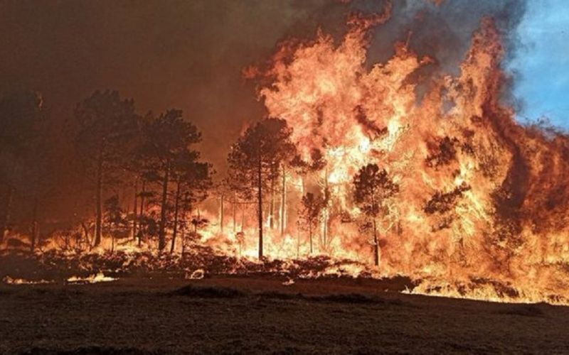 Incendios arrasan miles de hectáreas en España
