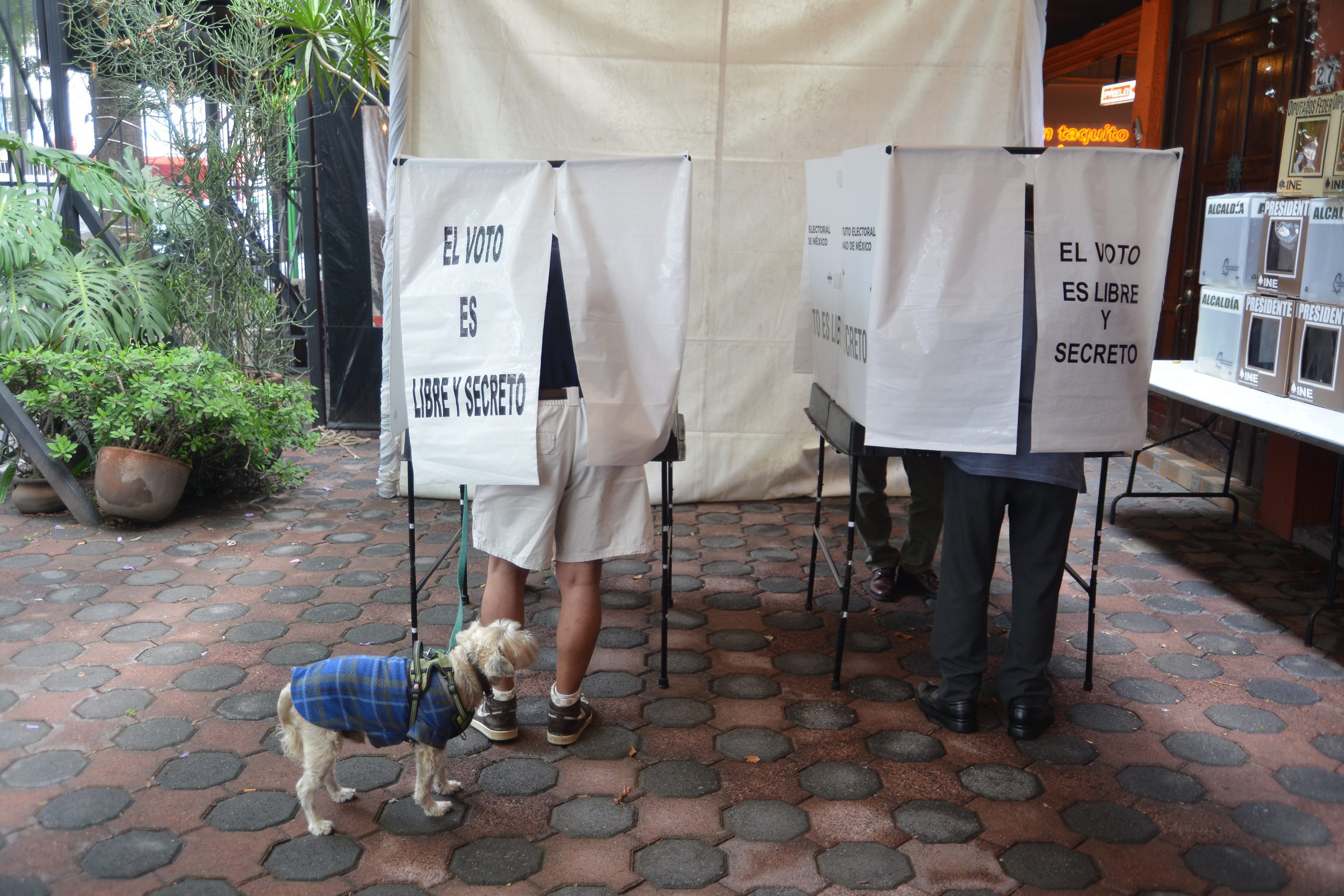 Elección del Poder Judicial 2025 en la Ciudad de México. Fotografía: Benjamín Flores.