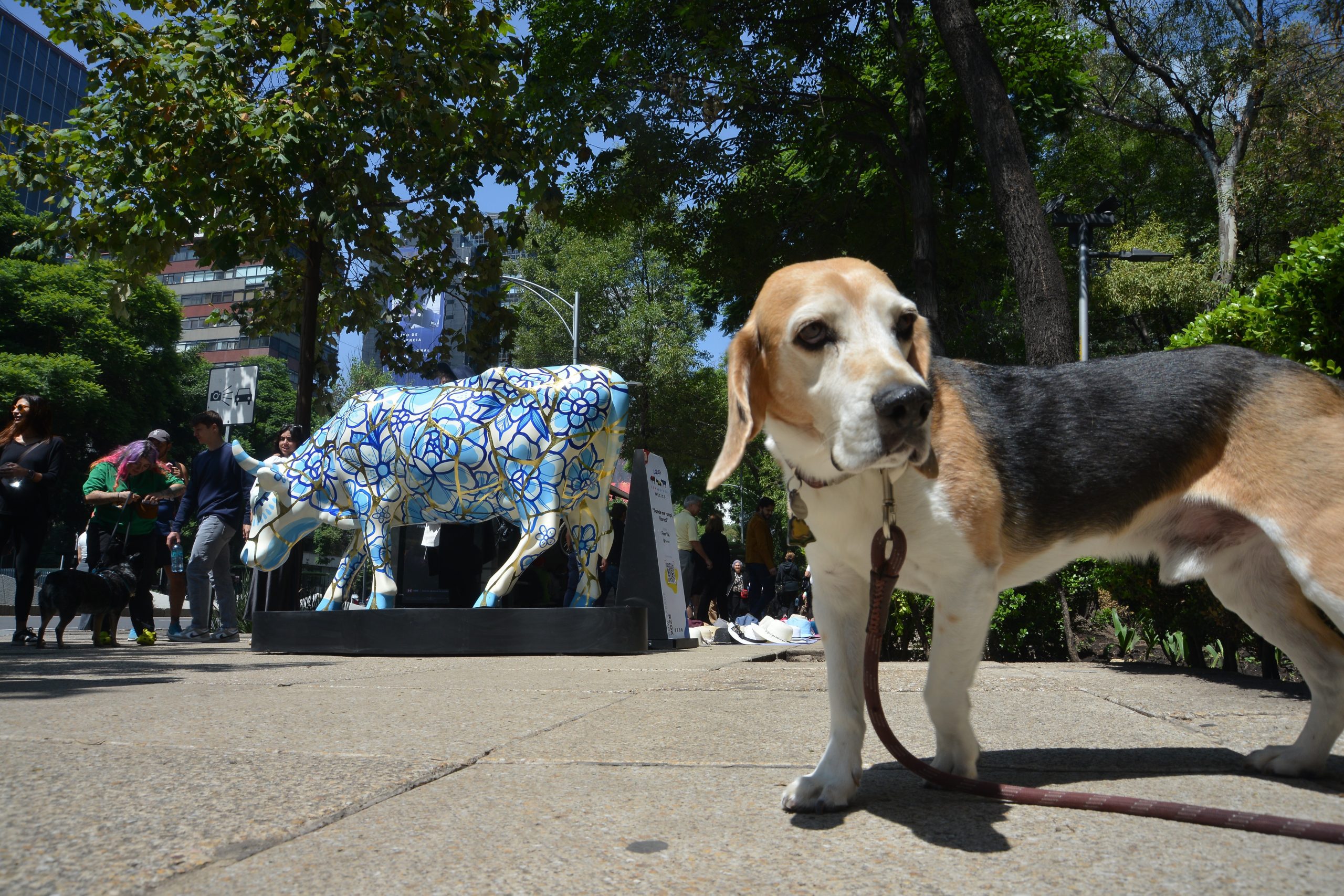 CowParade CDMX 2025. Fotografía: Benjamín Flores.