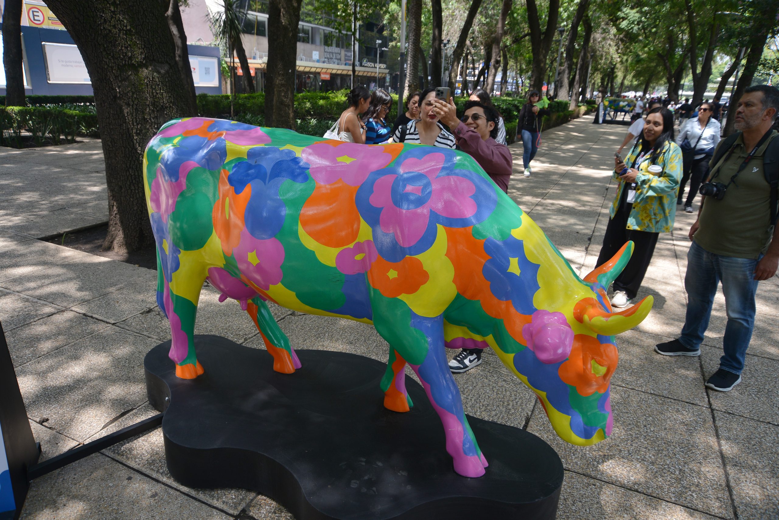 CowParade CDMX 2025. Fotografía: Benjamín Flores.