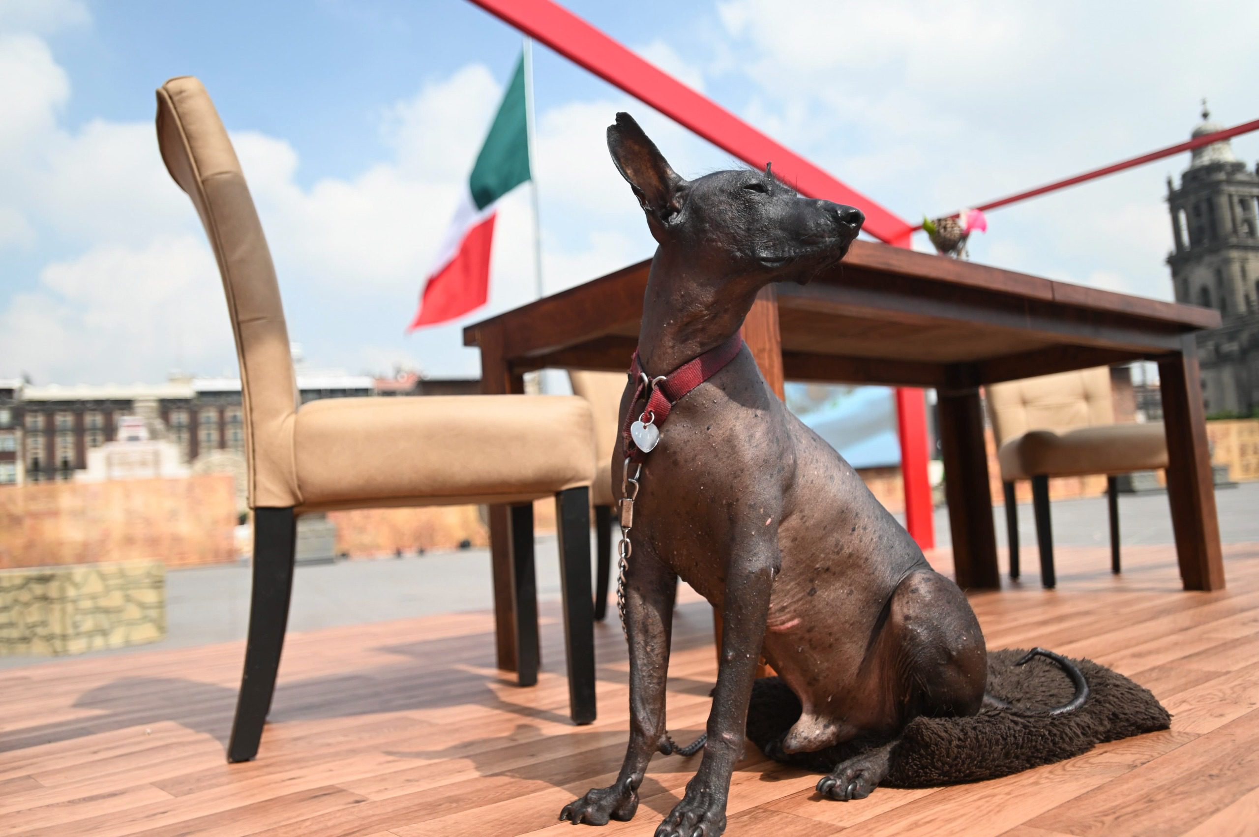 Siete siglos de fundación México-Tenochtitlan