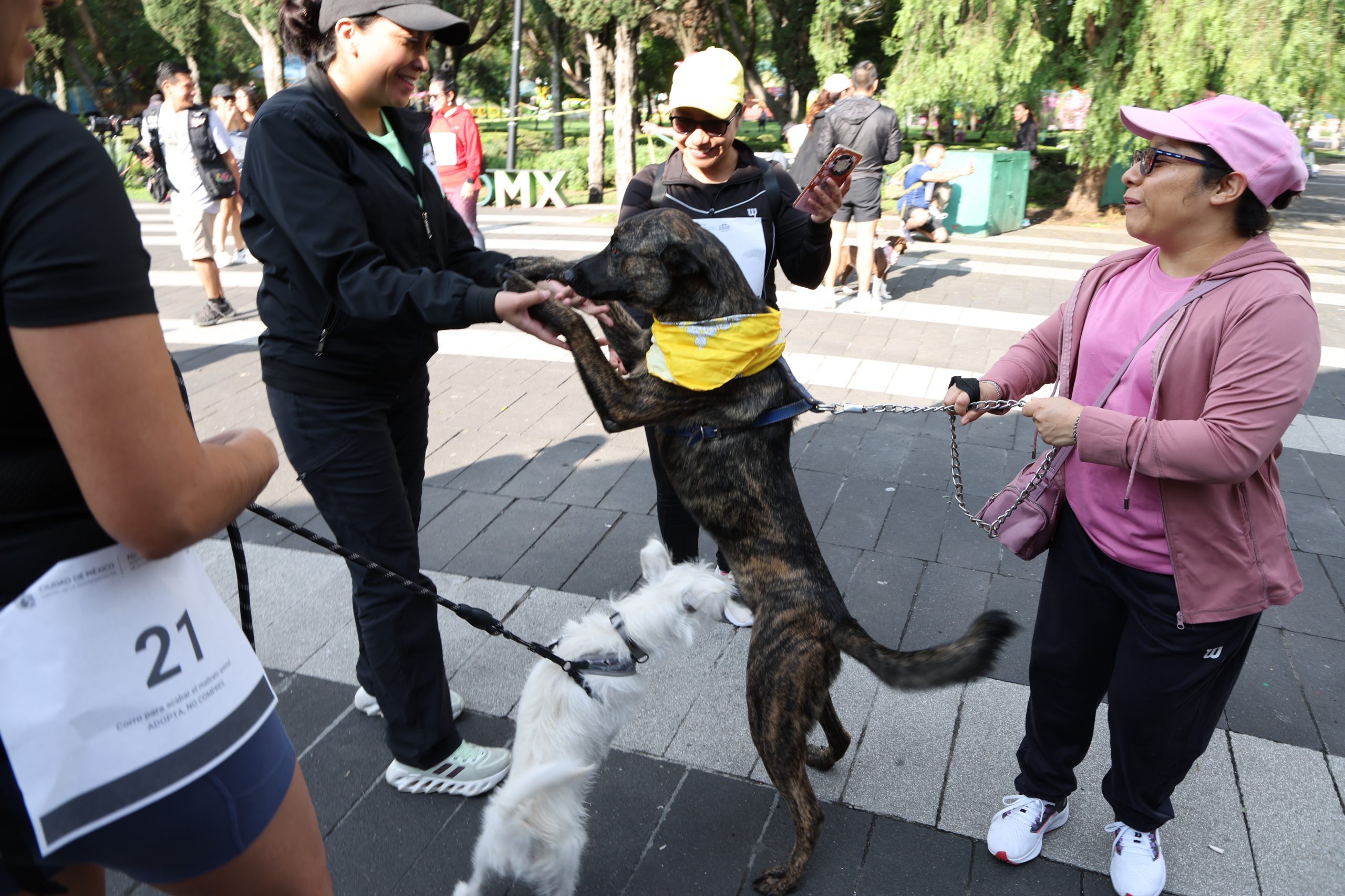 Carrera Amar es Adoptar, en la Alameda Sur, Alcaldía Coyoacán. Fotografía: Benjamín Flores.