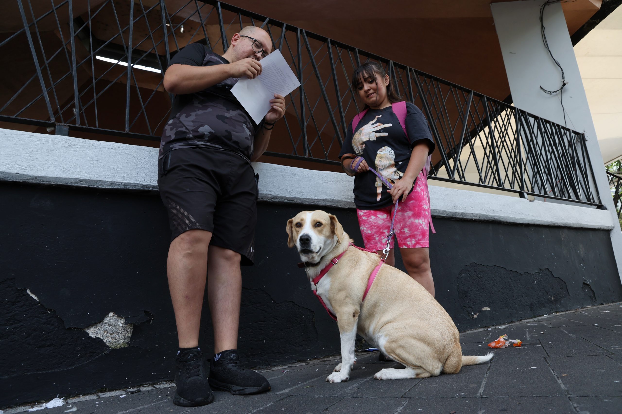Carrera Amar es Adoptar, en la Alameda Sur, Alcaldía Coyoacán. Fotografía: Benjamín Flores.