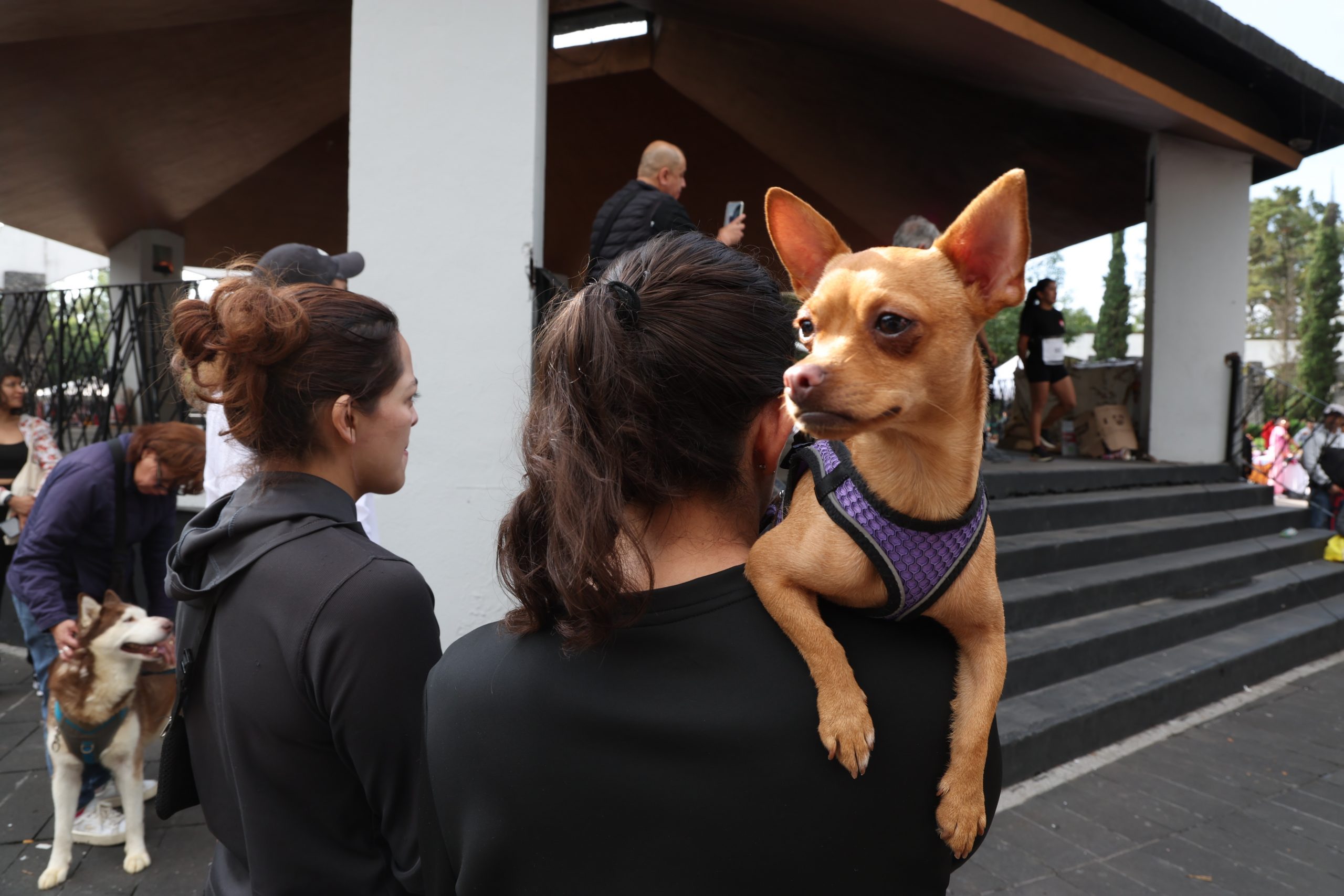 Carrera Amar es Adoptar, en la Alameda Sur, Alcaldía Coyoacán. Fotografía: Benjamín Flores.