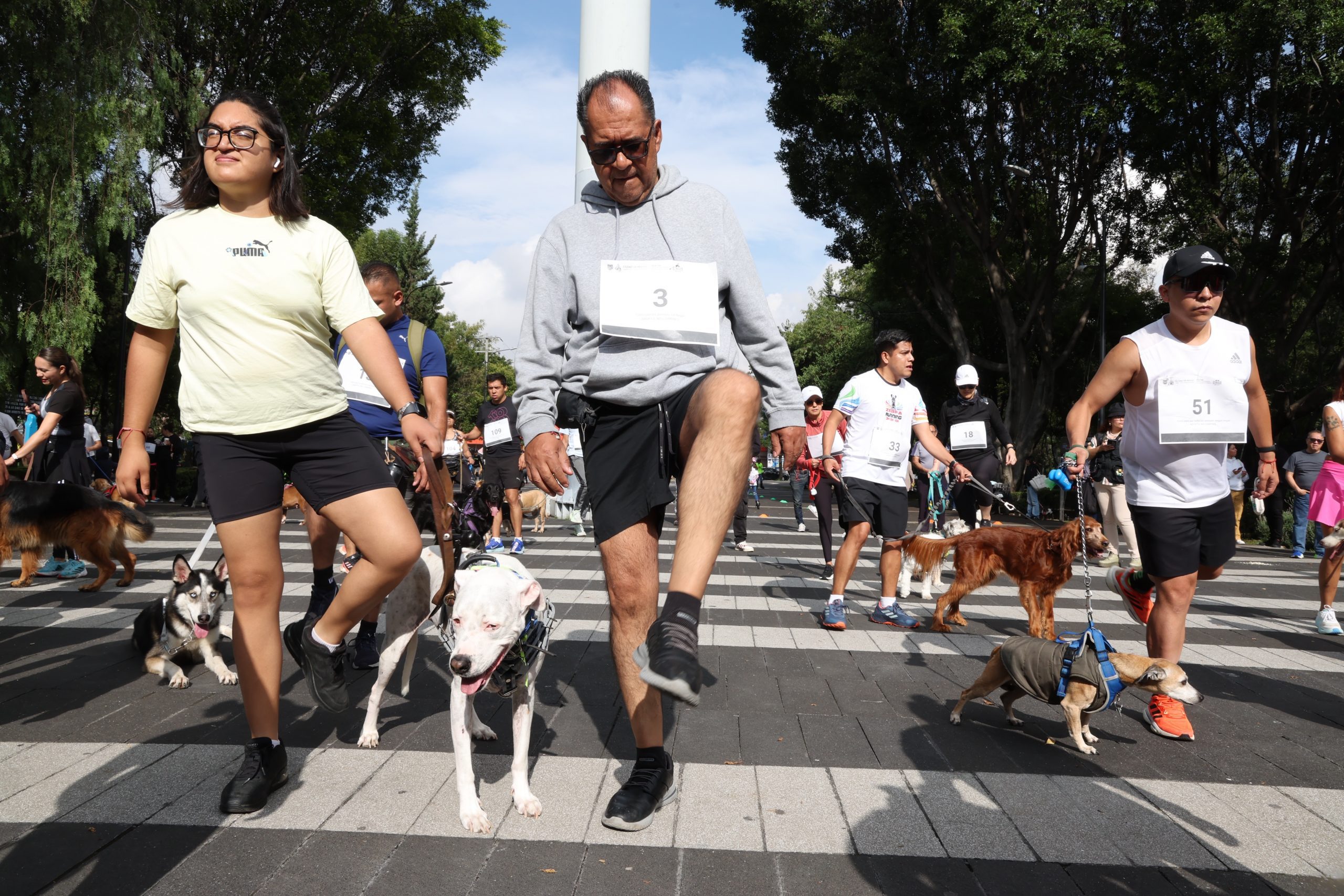 Carrera Amar es Adoptar, en la Alameda Sur, Alcaldía Coyoacán. Fotografía: Benjamín Flores.