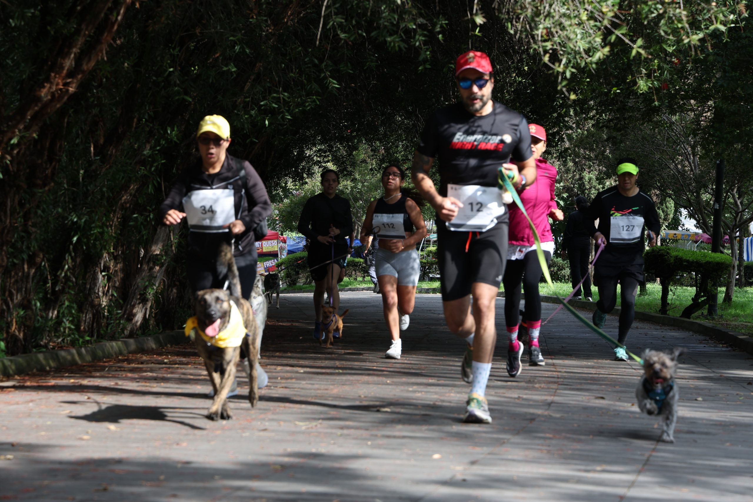 Carrera Amar es Adoptar, en la Alameda Sur, Alcaldía Coyoacán. Fotografía: Benjamín Flores.